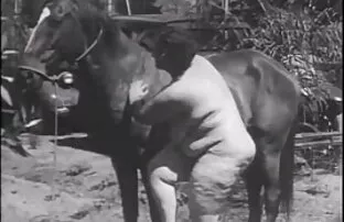 Dos pollas duras embistiendo pormo amateur latino a una puta