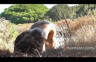 Tiempo amateur latino videos de ducha